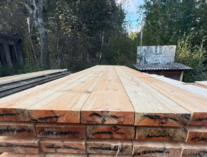 50 mm x 200 mm x 6000 mm GR R/S  Pine Lumber