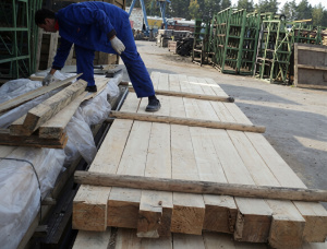 25 mm x 125 mm x 3000 mm  Bois d oeuvre Pin sylvestre