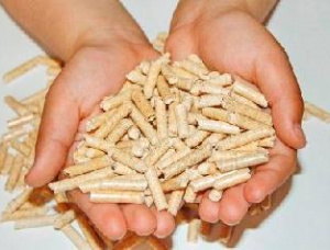Pellets de madera 6 mm x 4800 mm