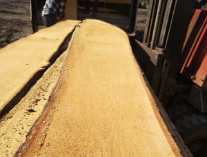 52 мм x 450 мм x 3000 мм Необрезная доска Липа