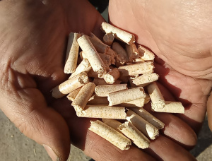 Pinheiro Pellets de madeira 6 mm x 15 mm