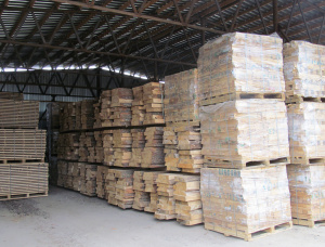 30 mm x 80 mm x 500 mm White Oak Lumber