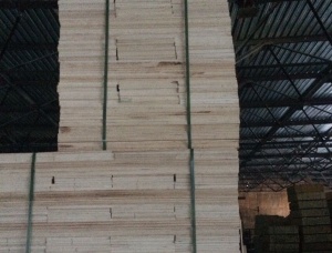Contreplaque exterieur 1525 mm x 1525 mm x 3 mm