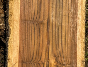 1 in. x 4 in. x 5 ft. CCA Treated Teak Lumber