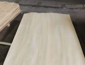 Paper Birch Rotary Cut Veneer 2600 mm x 1300 mm x 1.5 mm