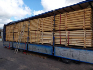 Pine Rounded beam 50 mm x 6 m