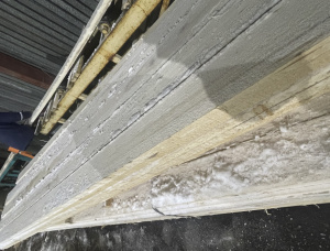 50 mm x 200 mm x 6000 mm एस्पेन आरी कटी लकड़ी