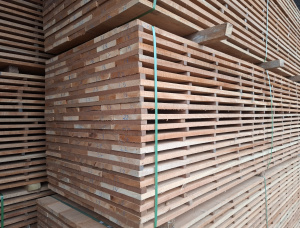 50 mm x 150 mm x 6000 mm 建築材绿柄桑木