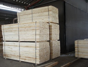 Palettenholz Kiefer 20 mm x 150 mm x 3 m