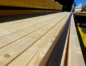 45 mm x 160 mm x 13500 mm KD Finger Joint Board