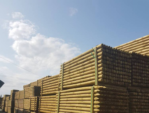 Pine Rounded beam 50 mm x 6 m