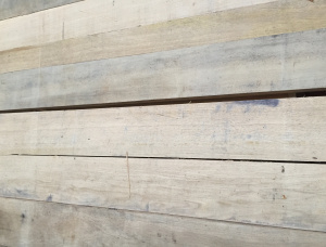 30 мм x 100 мм x 2000 мм  Столярная доска Дуб KD