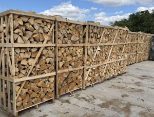 Kiln सूखे Firewood 150 mm x 250 mm