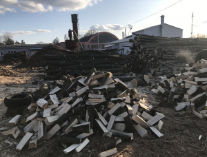 Kiln Dried Firewood 100 mm x 330 mm