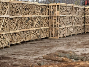 Kiln सूखे Firewood 150 mm x 250 mm