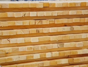 Birch squares