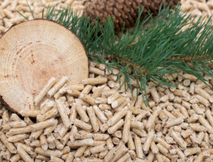 Oak Wood pellets 6 mm x 50 mm