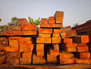 Грубоокантованный брус Тали (Мисанда, Елуне, Муаве, Касса) 160 мм x 180 мм x 3000 м