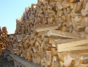 Sezon 100 mm x 400 mm