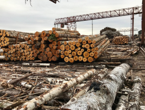 Kiln Dried Firewood 100 mm x 330 mm