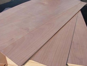 Contreplaque exterieur 1220 mm x  x 5 mm