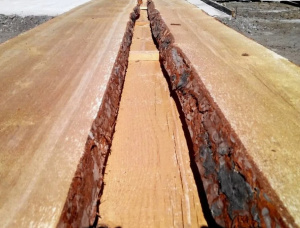 50 mm x 200 mm x 6000 mm Swiss pine Flitch