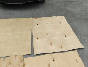 बर्च रोटरी कट लिबास 1270 mm x 1270 mm x 1.5 mm