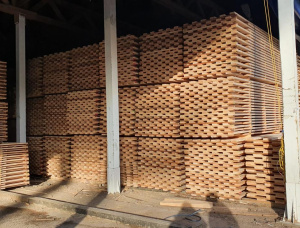 22 мм x 100 мм x 6000 мм Термообработанная Доска обрезная Ель-Сосна (S-P) R/S KD