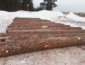 Sibirya karaçamı Kerestelik tomruk 100 mm x 6 m