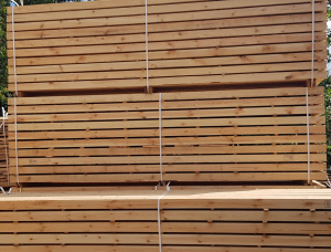 100 mm x 200 mm x 2400 mm GR Pine Beam