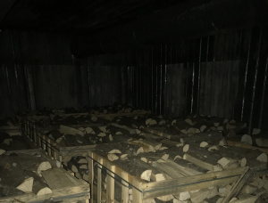 Kiln Dried Firewood 100 mm x 330 mm