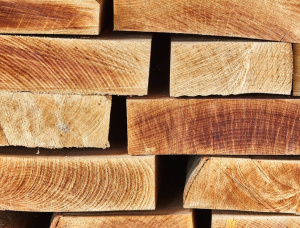 200 мм x 500 мм x 6000 мм Черновая мебельная заготовка Бук S2S KD