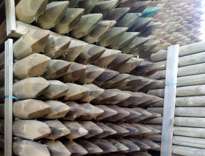 स्प्रूस-पाइन (S-P) पोल 80 mm x 2.2 m