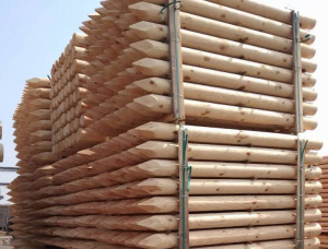 Pine Rounded beam 50 mm x 6 m