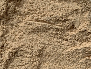 Eucalyptus Wood flour 120 µm