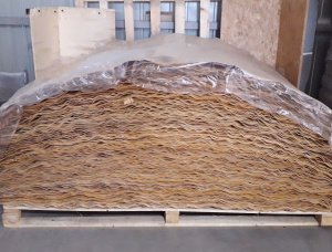 Birch Rotary cut veneer 1600 mm x 2300 mm x 1.5 mm
