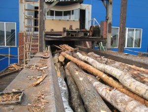 Chipboard production lines
