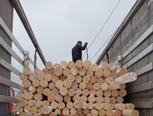 Оцилиндрованное бревно Ель-Сосна (S-P) 120 мм x 6 м