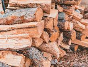 Red Oak Wood chips