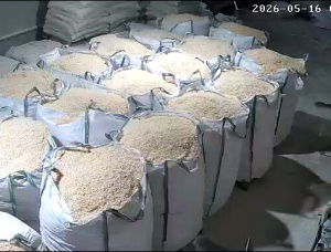 Spruce-Pine (S-P) Wood sawdust