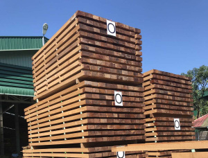 54 mm x 280 mm x 2150 mm Teak Lumber