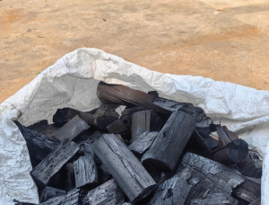 Eucalyptus Wood charcoal 90 mm
