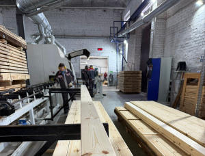 45 mm x 145 mm x 6000 mm  Tischlerbretter Waldkiefer KD