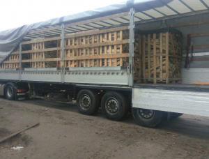 Kiln Dried Firewood 100 mm x 330 mm