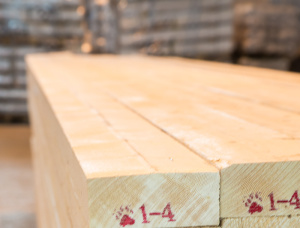 22 mm x 145 mm x 6000 mm  Eingefasstes Brett Gemeine Fichte R/S KD