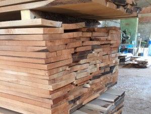 50 mm x 120 mm x     Haya Madera aserrada