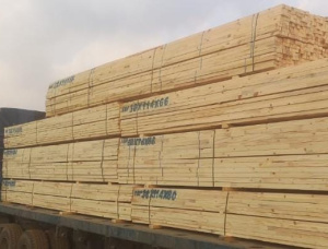 50 mm x 75 mm x 6000 mm Heat Treated Radiata Pine Lumber