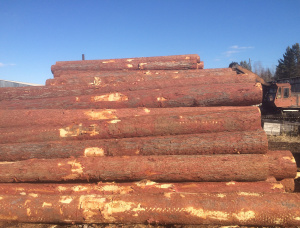 Sibirya karaçamı Kerestelik tomruk 30 mm x 6 m
