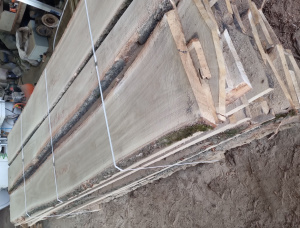 32 mm x 100 mm x 3000 mm 建築材橡木