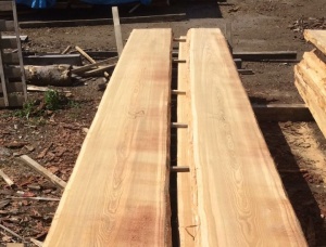 Larch unedged board 32 mm x 250 mm x 4000 mm